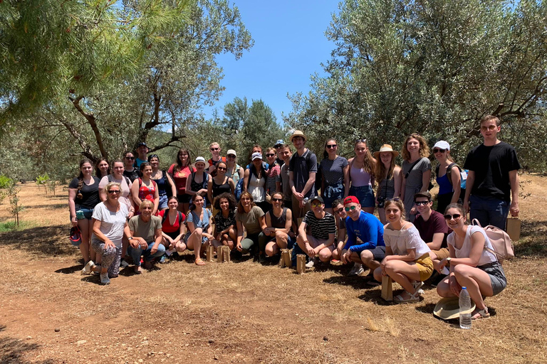 نافبليو: جولة وتذوق زيت الزيتونجولة وتذوق زيت الزيتون