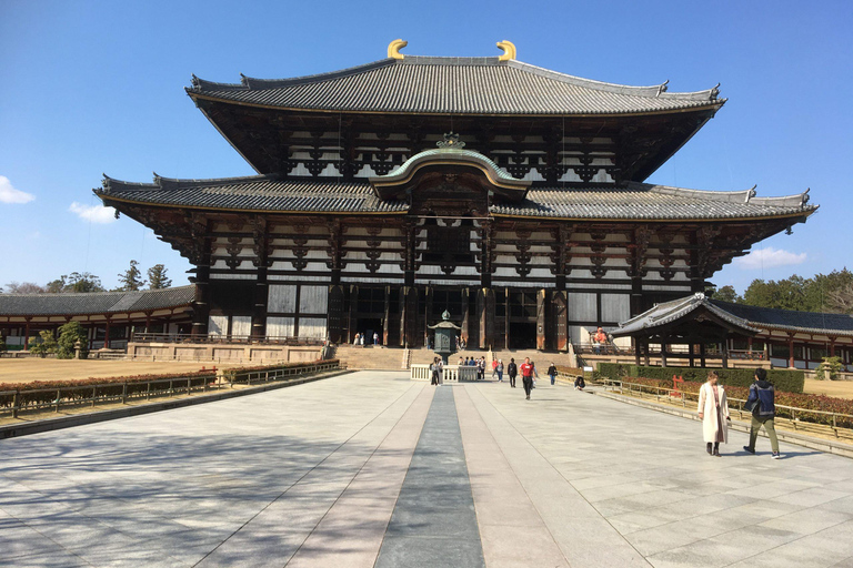 Visite guidée privée d'une demi-journée des temples de Nara