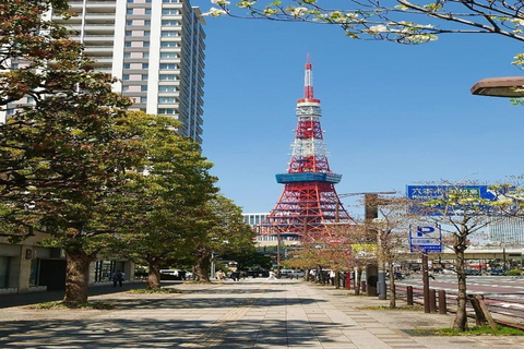 Tokyo: Private 1-Day Tour with English-Driver, Customizable