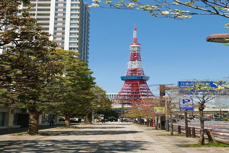 Tokyo: Private 1-Day Tour with English-Driver, Customizable