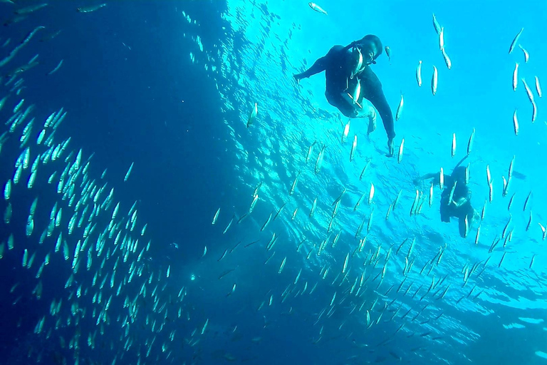 Île de Piscador avec pêche à la sardine et chasse aux tortues