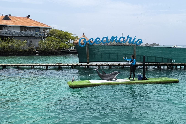 Cartagena: fuga caribenha personalizada com almoço e bebidasCartagena: Fuga pessoal ao Caribe com almoço e bebidas