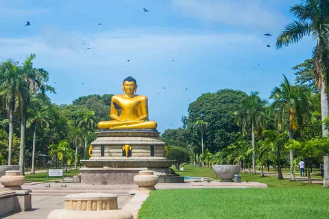 Visite à la ville de Colombo au Sri Lanka : 1 journée