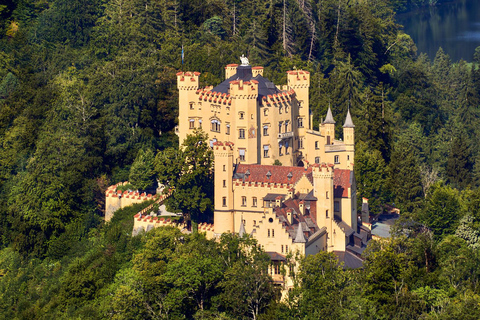 Munich: Neuschwanstein Castle Chinese Day Tour Ticket to Neuschwanstein Castle Included