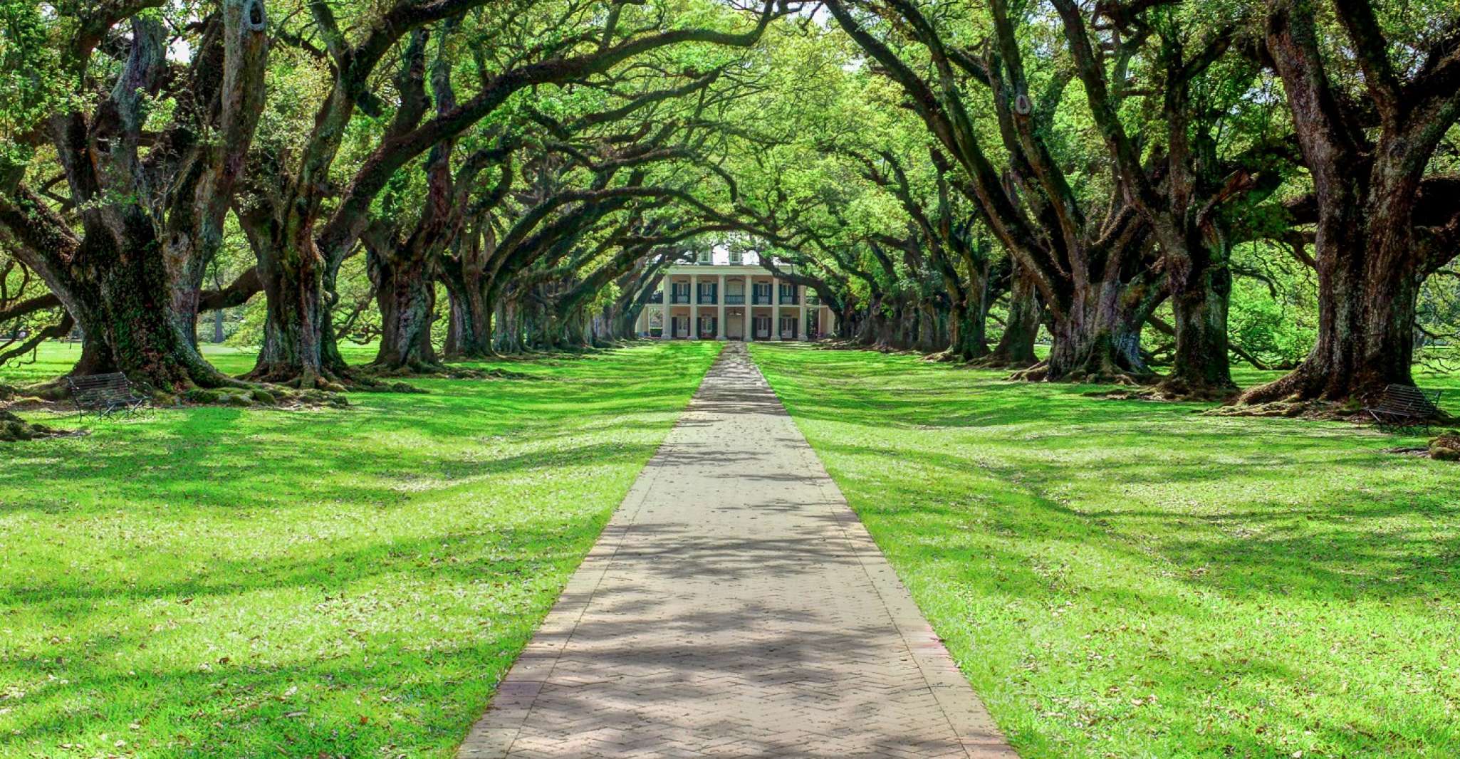 From New Orleans, Oak Alley Plantation Tour - Housity