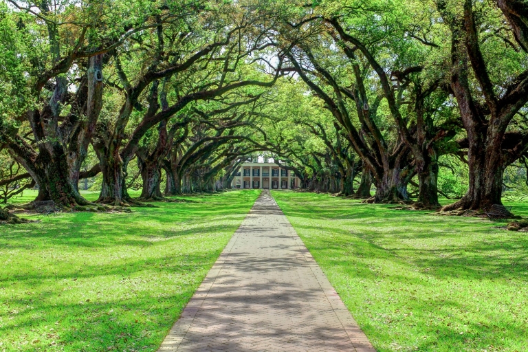 Ab New Orleans: Tour zur Oak Alley Plantation