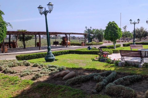 Ica i Huacachina: doświadczenie z winem, pisco i wydmowym buggy