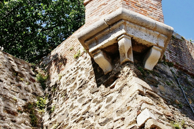 Argelès-sur-Mer: Nature, vineyards, and landscapes of Catalonia Argelès-sur-Mer: Nature, vineyards, and the landscapes of Catalonia