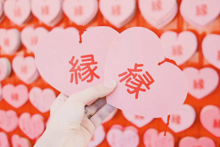 From Nagoya: Inuyama Day Trip