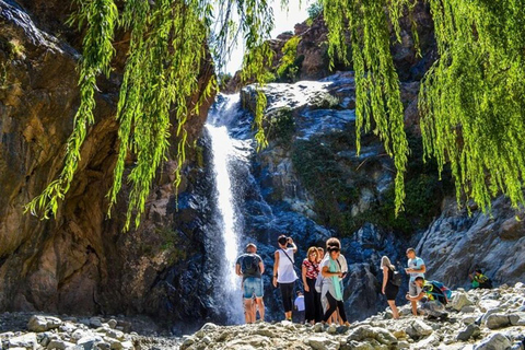 Marrakech: Ourika Vallei Trip met Watervallen Wandeling &amp; Lunch