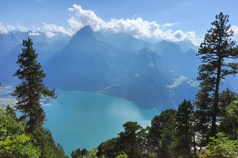 Tagestour ab Zürich: Bergwanderung auf den Rophaien mit ortskundigem GuideTagestour ab Zürich: Bergwanderung in Rophaien mit ortskundigem Guide