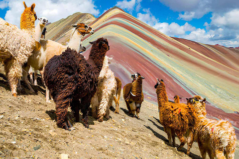 Q’eswachaka & Rainbow Mountain overnight at Amaru TreeHouse