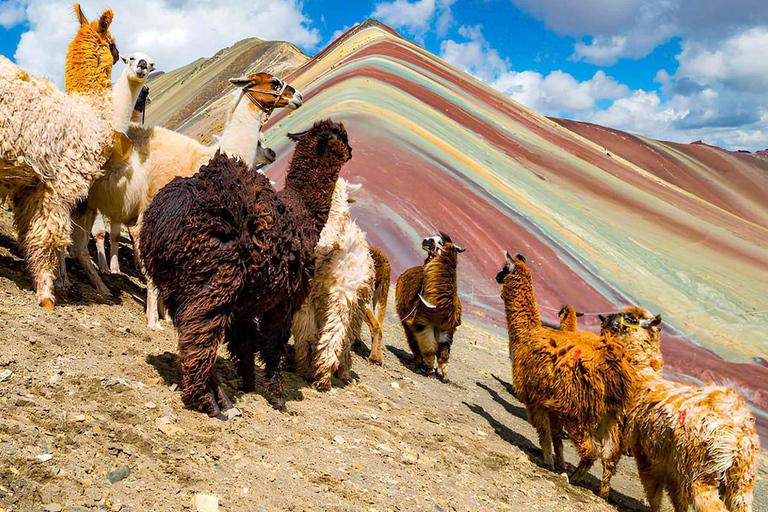 Q’eswachaka & Rainbow Mountain overnight at Amaru TreeHouse