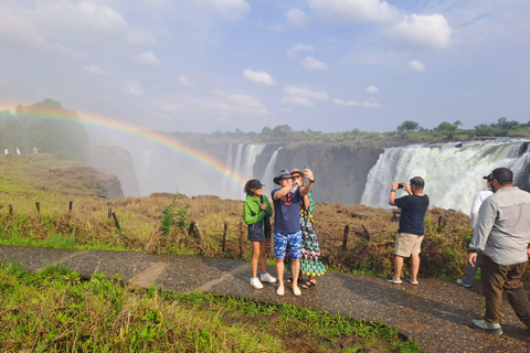 Tour guiado de las cataratas Victoria