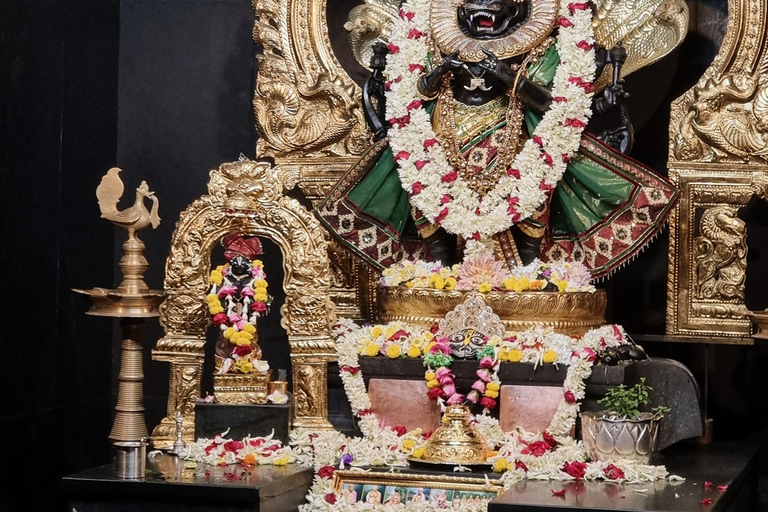 From Kolkata: Mayapur Temples and Teachings Private Day Trip