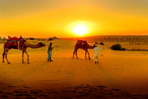 Von Marrakech aus: Abendessen in der Wüste von Agafay bei Sonnenuntergang mit Kamelritt