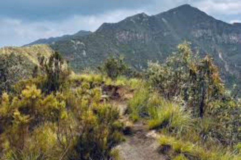 Excursión de un día al Monte Longonot desde Nairobi