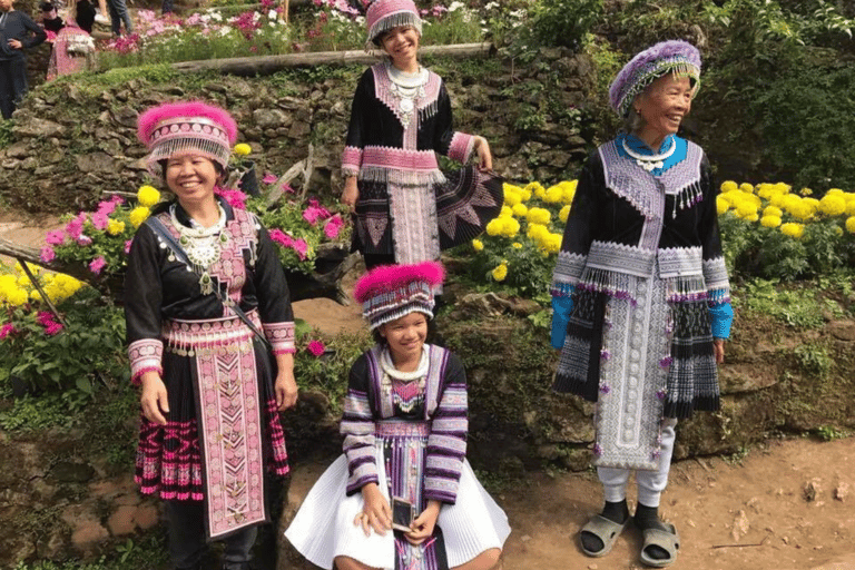 Excursión de medio día a la Aldea Hmong, Doi Suthep y Wat Pha Lat