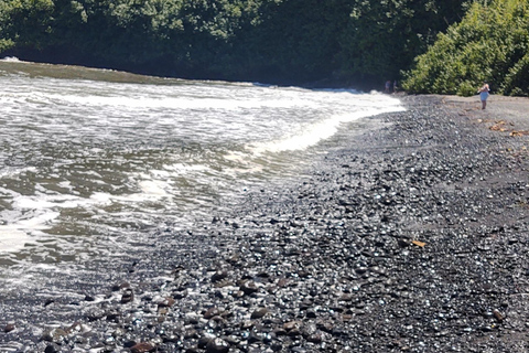 Maui: Halfway to Hana Black Sand Beach & Turtles Tour