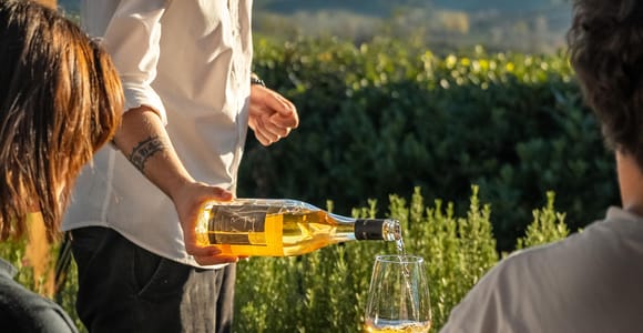 San Gimignano: Mormoraia Winery Guided Wine Tasting