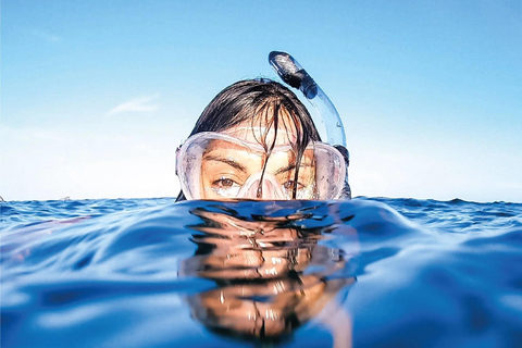 Tayrona: Caribbean Snorkeling Boat Trip with a guide