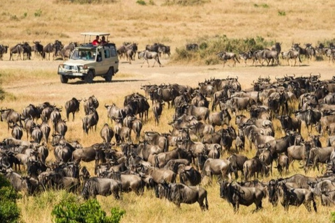 Tanzania: Escapada de luna de miel de 10 días al Serengeti y Zanzíbar