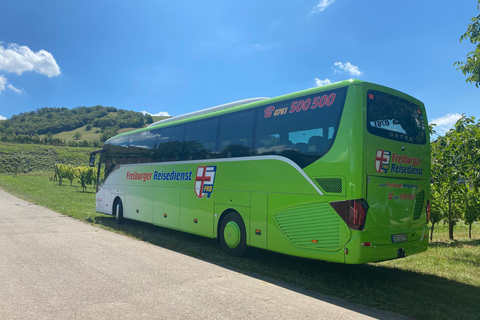 Freiburg: Bustransfer von/nach Basel Euro AirportEinzeltransfer von Basel Euro Airport nach Freiburg