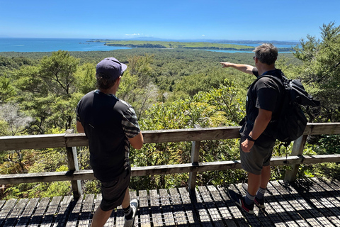 Auckland | Rangitoto & Motutapu Islands Guided eBike & Ferry