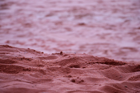 Wadi Rum: Bedouin Desert Tour with Sandboarding