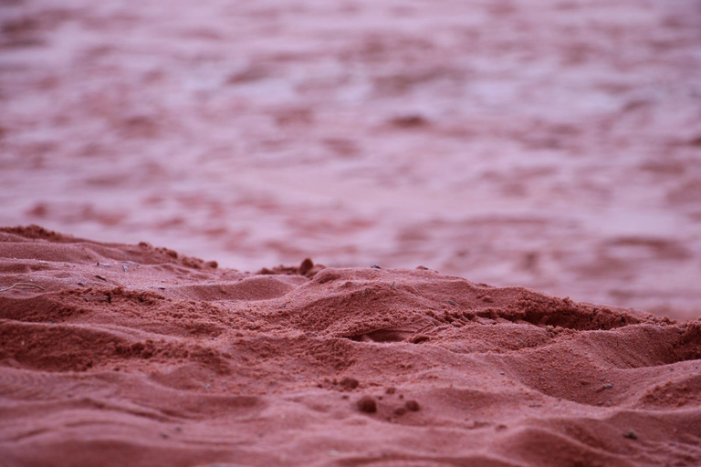 Wadi Rum: Bedouin Desert Tour with Sandboarding