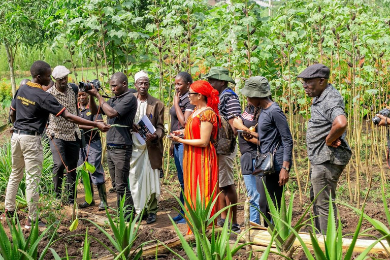 Kampala: Farm and Community Tour with traditional Lunch