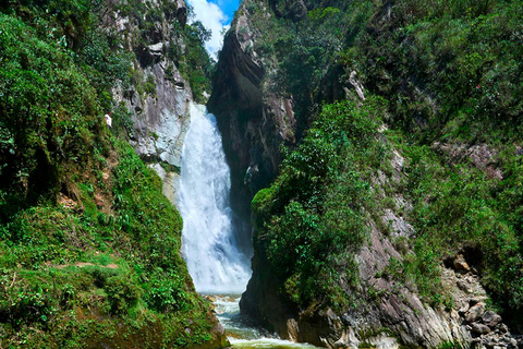 Expedición a Villa Rica - Cultura del café y descubrimiento de la selva tropical