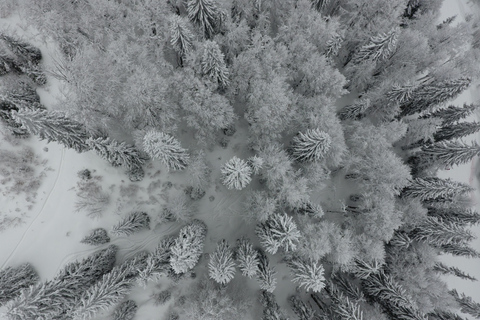 萨拉热窝：四驱车之旅（含缆车）