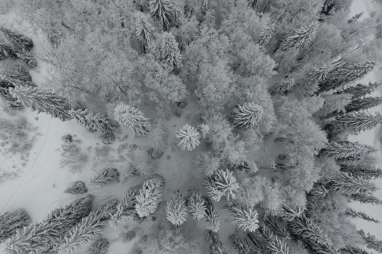 萨拉热窝：四驱车之旅（含缆车）