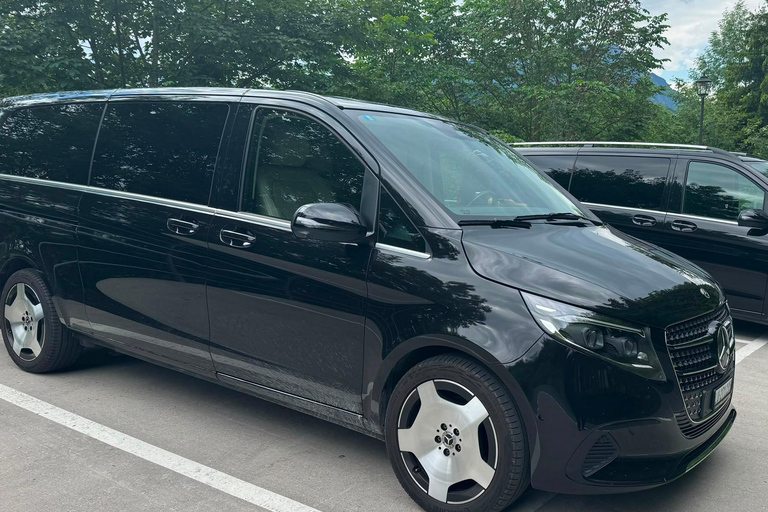 From Lucerne: 4-Country Day Trip by Mercedes-Benz V-Class