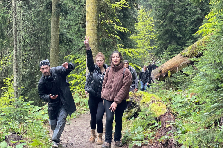 Toetaisi wildernis trektocht: 4-daagse trektocht door de wildernis