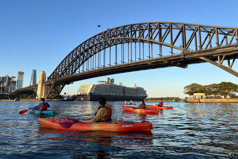 Sydney: Tour guidato dell&#039;Opera House e del porto in kayakTour del Teatro dell&#039;Opera e del porto con kayak doppio