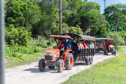 Phuket: Racha, Banana Bay & Maiton Island Tour by Catamaran