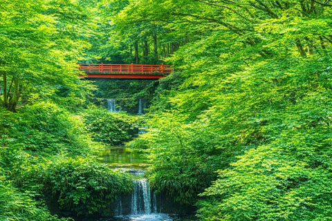 Kyoto: Private City Highlights Tour (Local Guide 6-Hour)