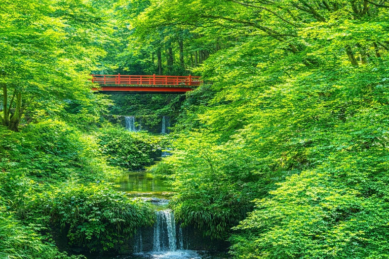 Kyoto: Private City Highlights Tour (Local Guide 6-Hour)