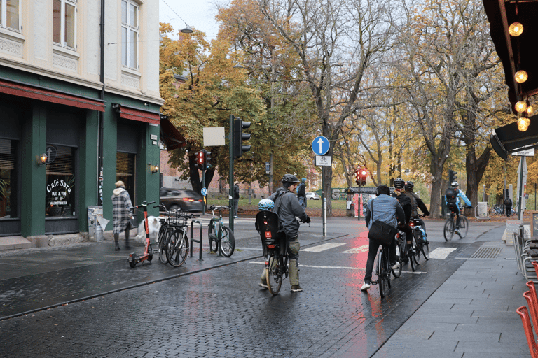 Oslo: Private Vintage Walking Tour with Photos Private Vintage Oslo Walk & Aesthetic Photos