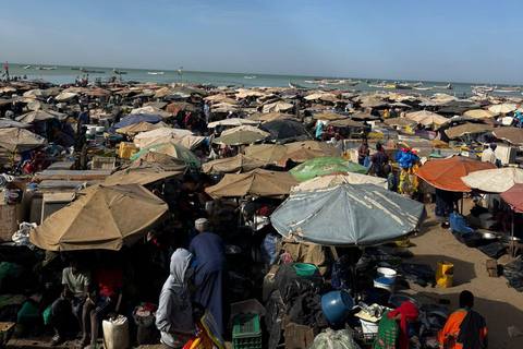 M'bour: Full-day immersion at the fishing harbor and arrival of the canoes