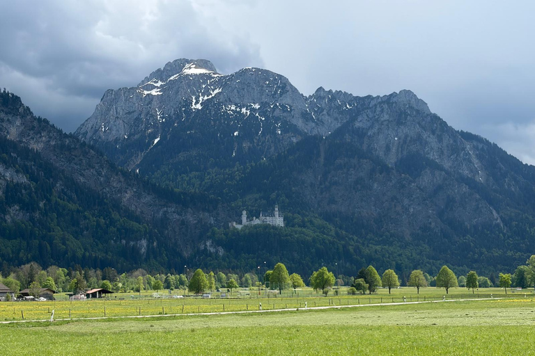 From Stuttgart: Neuschwanstein Castle Day Trip Neuschwanstein Tour in English