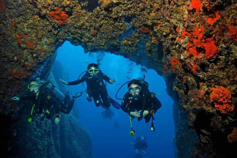 Goa: Scuba Diving Combo Package at Grand Island