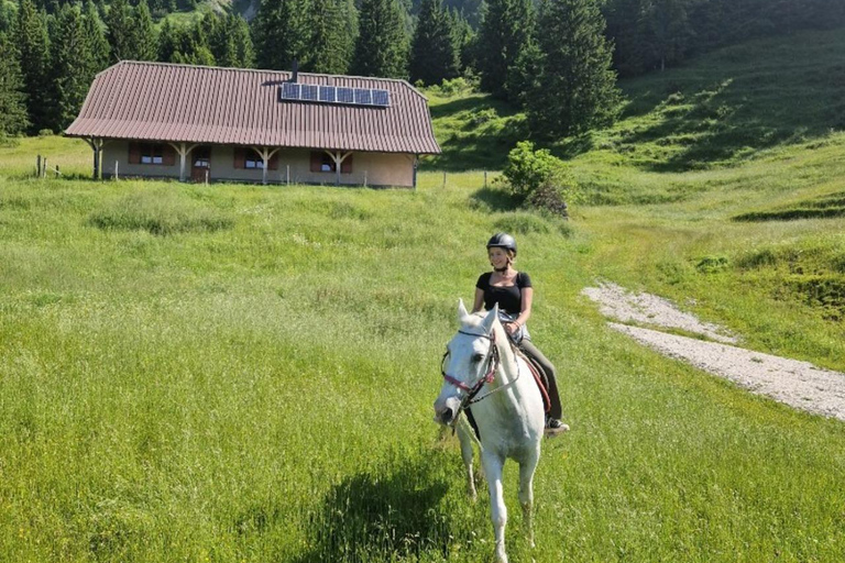 Bled: Horseback Riding Tour in Triglav National Park