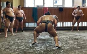 Tokyo: Visit Sumo Morning Practice with English Guide