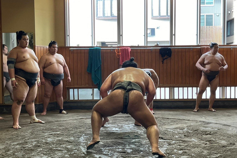 Tokyo: Besök Sumo Morning Practice med engelsk guide