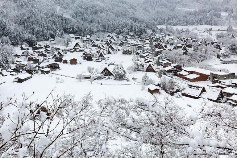 Nagoya: Shirakawa-go, Hida Takayama Day Tour