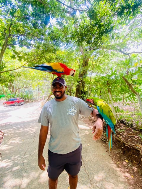 Roatan Sloths + Island Tour | GetYourGuide