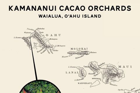Oahu: Chocolate Farm Tour with Tasting - Kamananui Cacao
